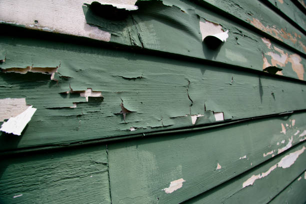 Best Siding Removal and Disposal  in South El Monte, CA